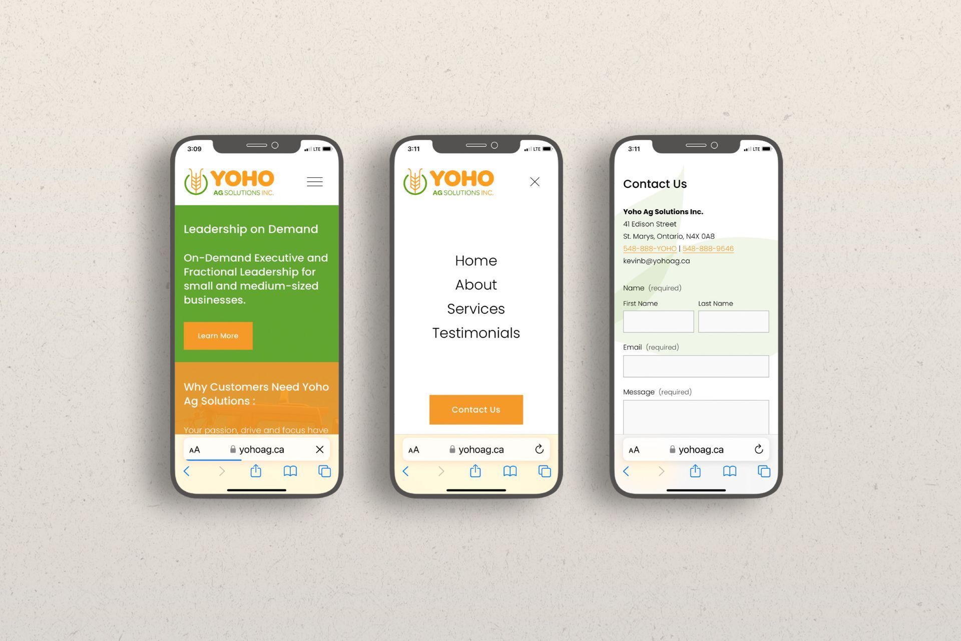 Yoho CMS website and branding