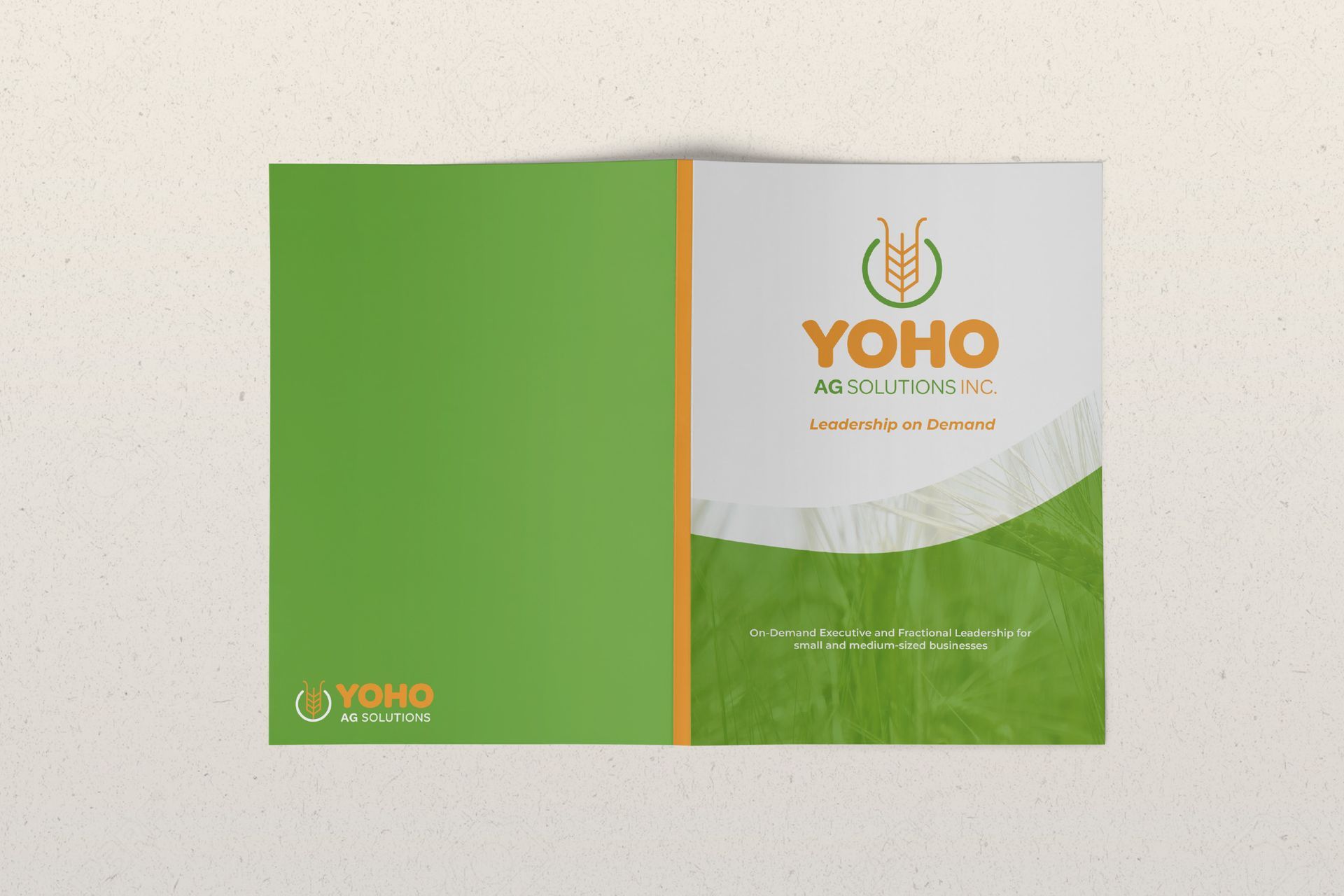 Yoho brochure and presentation folder design