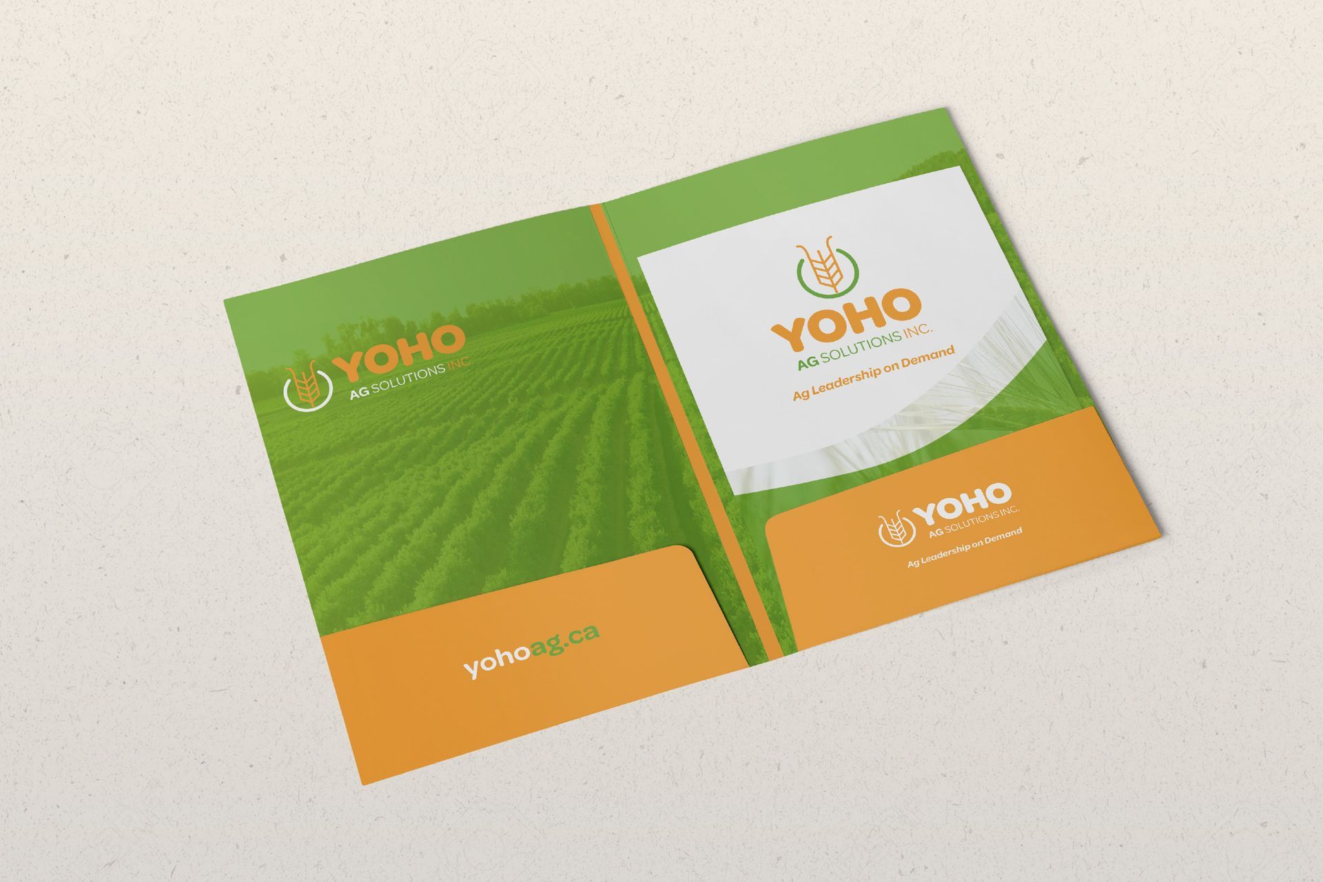 Yoho brochure and presentation folder design