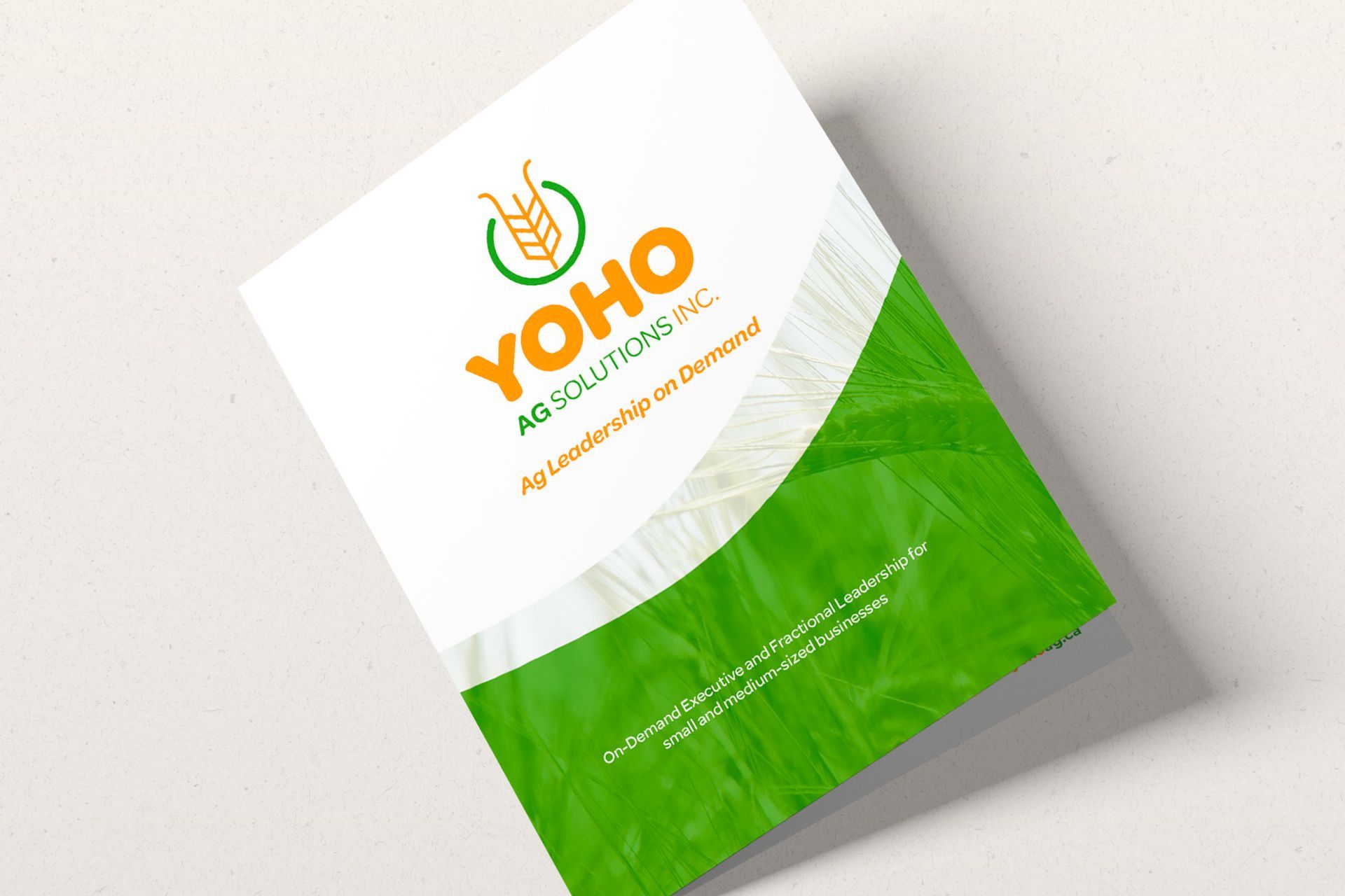 Yoho brochure design