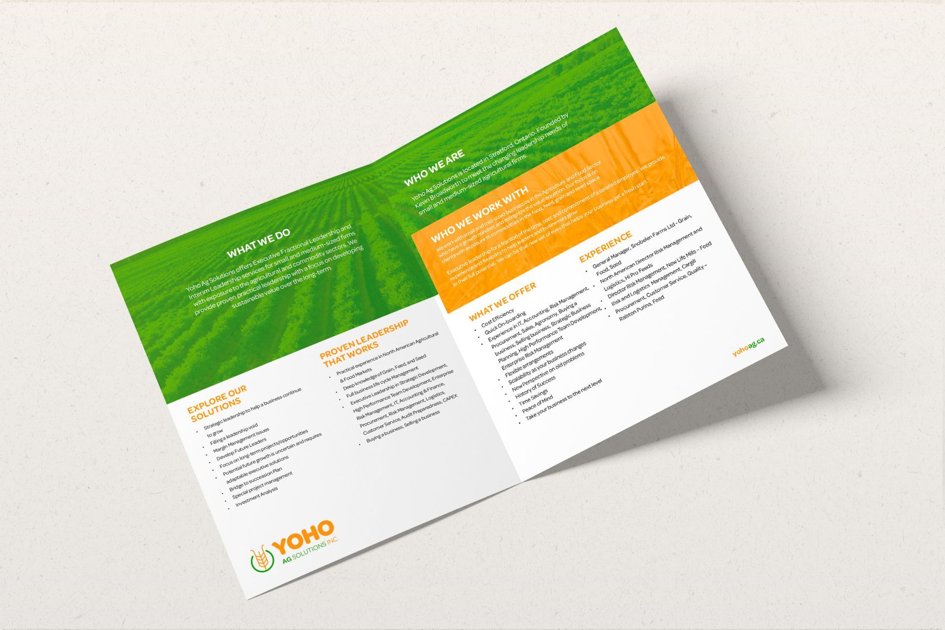 Yoho brochure design