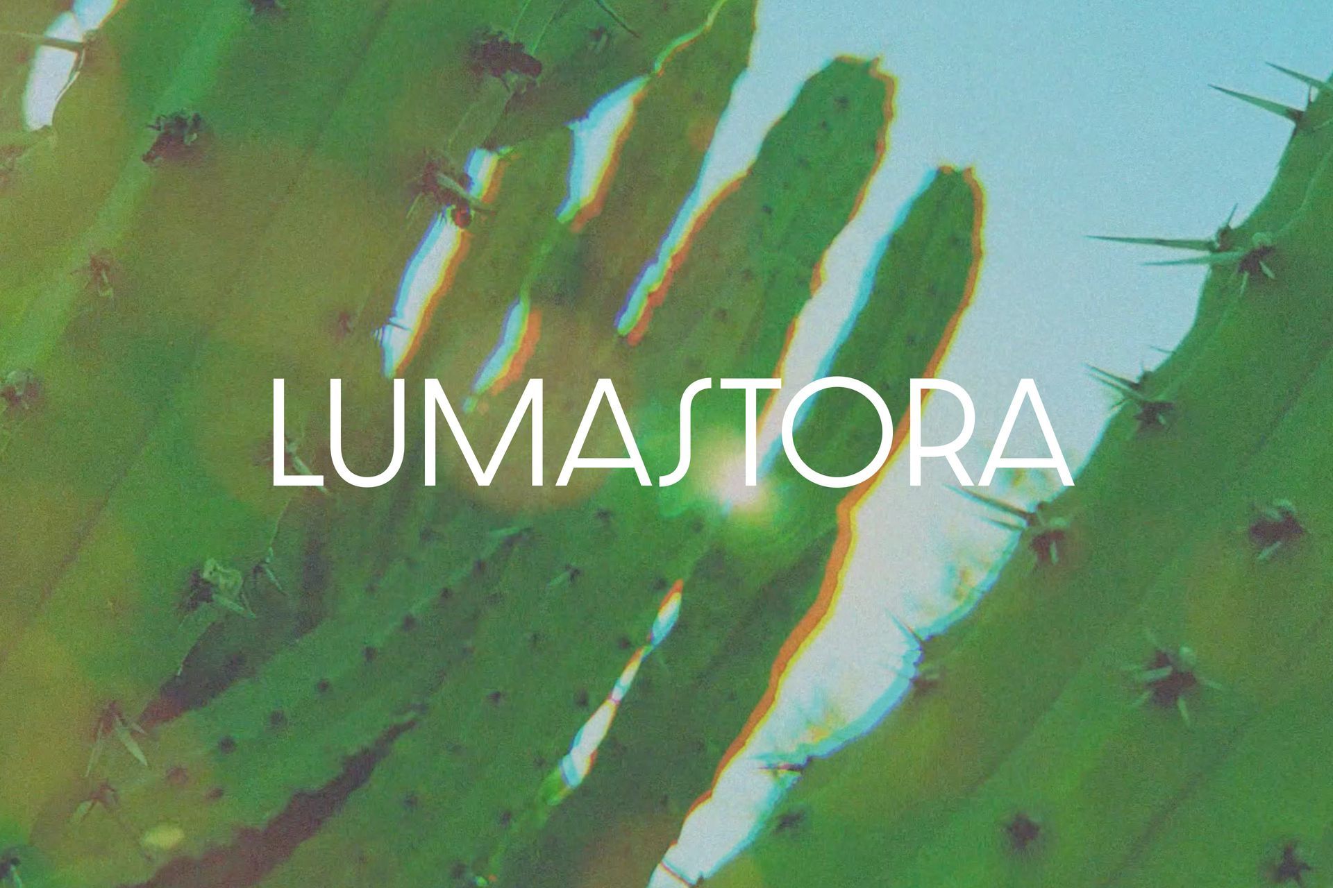 Logo design for Arizona musician