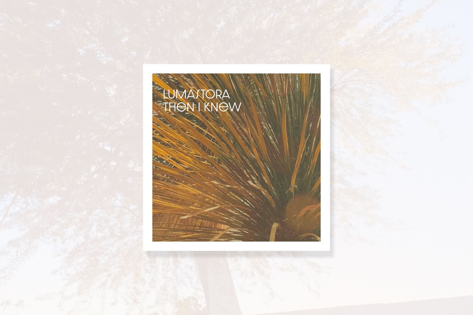 Album cover graphic design for an Arizona musician Lumastora.