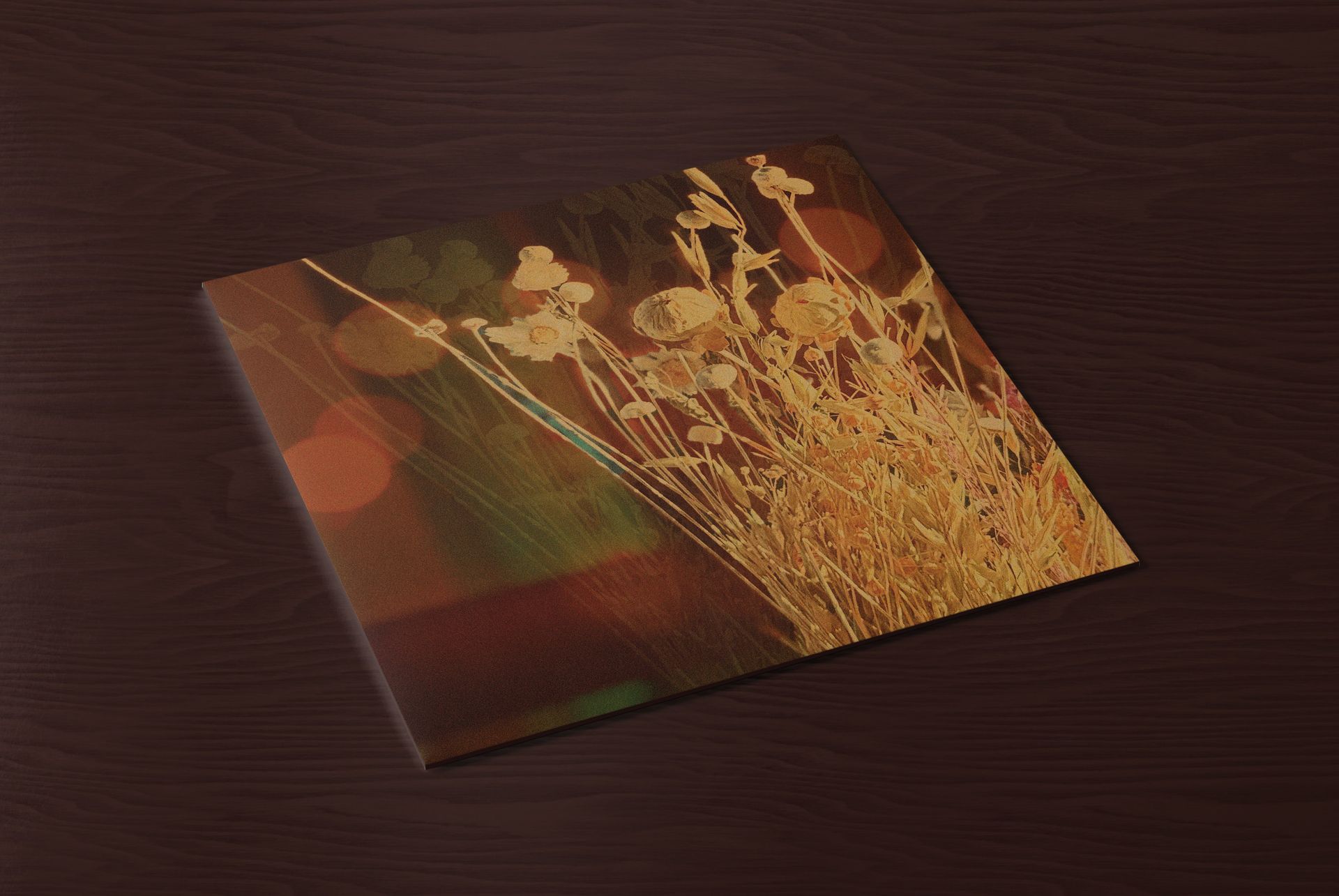 Album cover graphic design for an Arizona musician Lumastora.