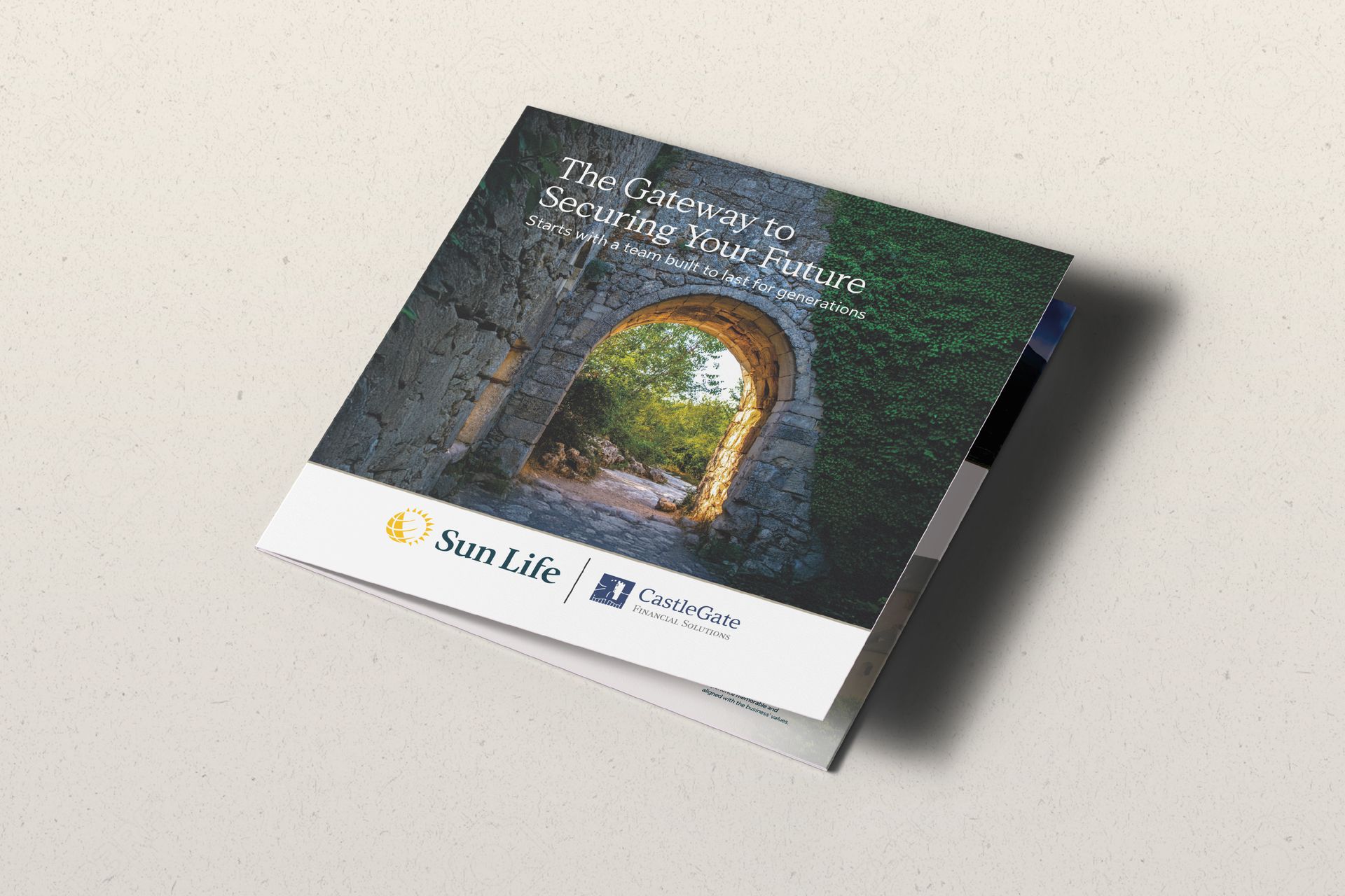 Custom brochure and branding design for financial advisor business.