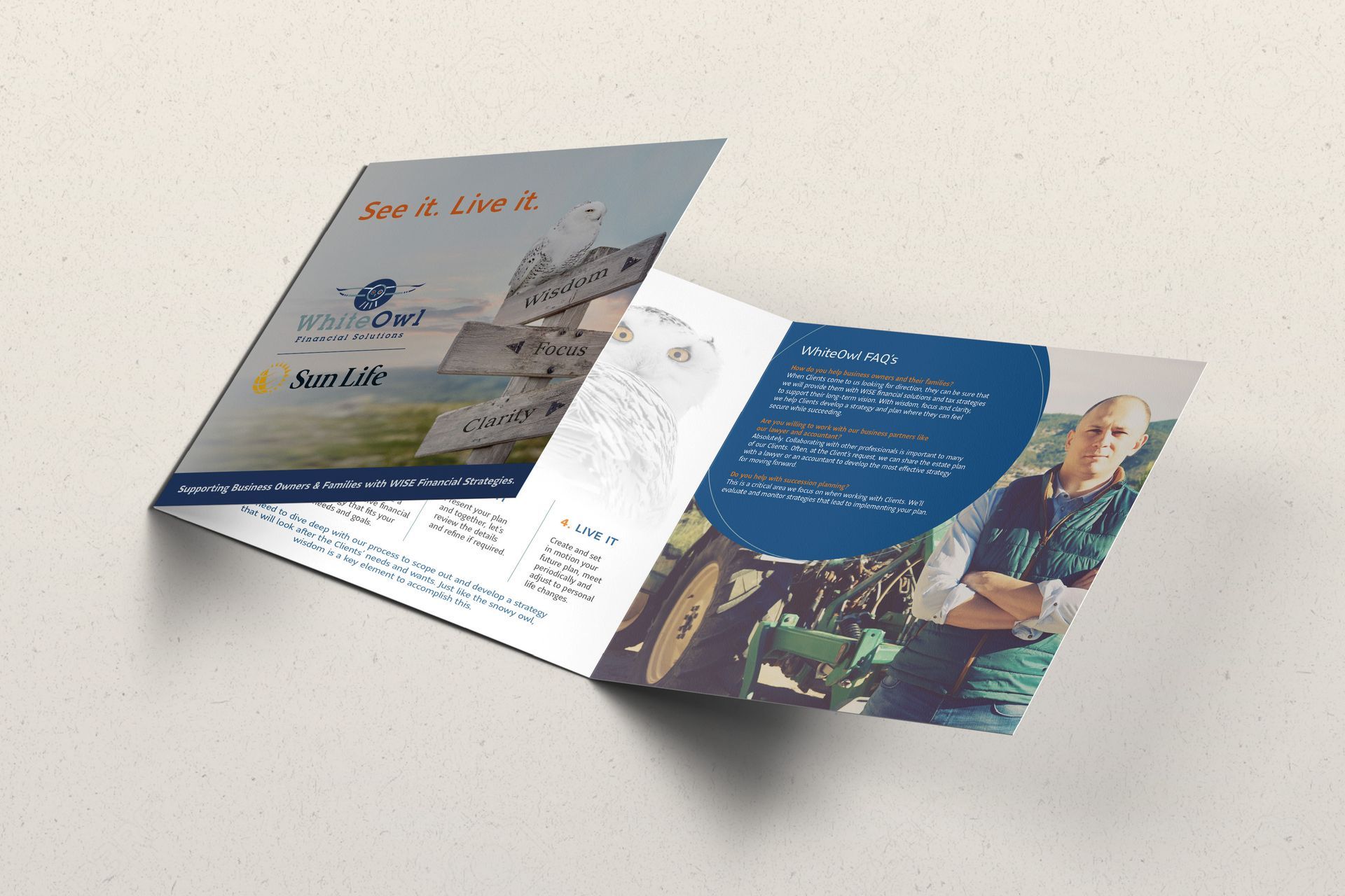 Custom brochure and branding design for financial advisor business.