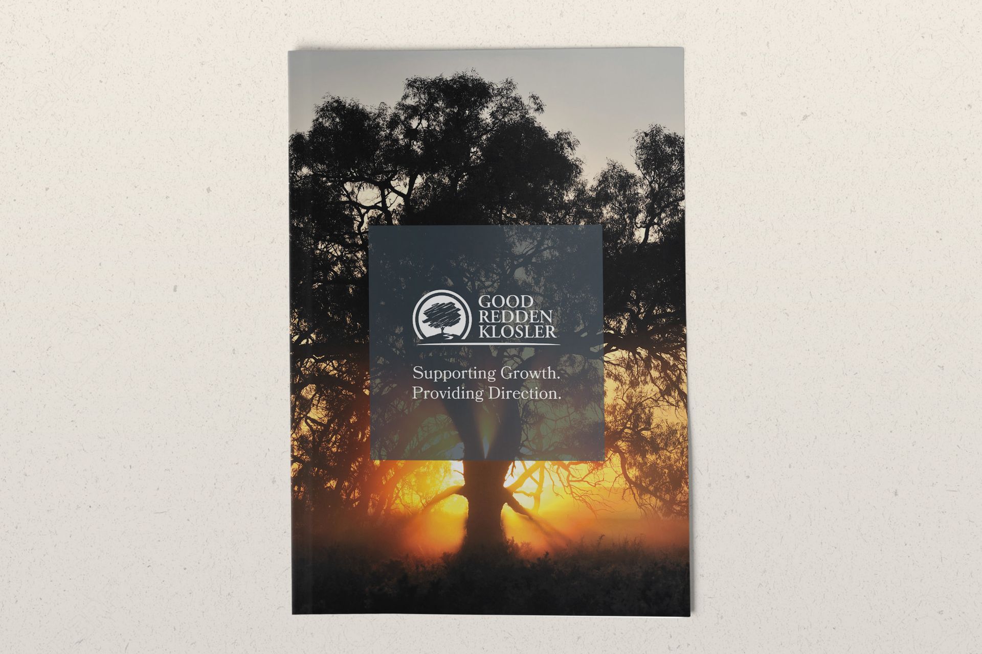 Presentation folder design for financial advisor business.