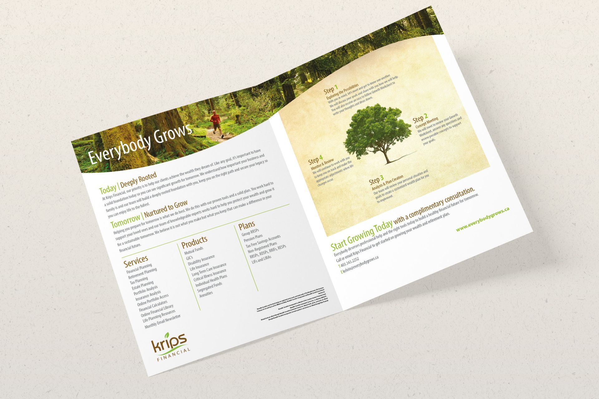 Custom brochure and branding design for financial advisor business.