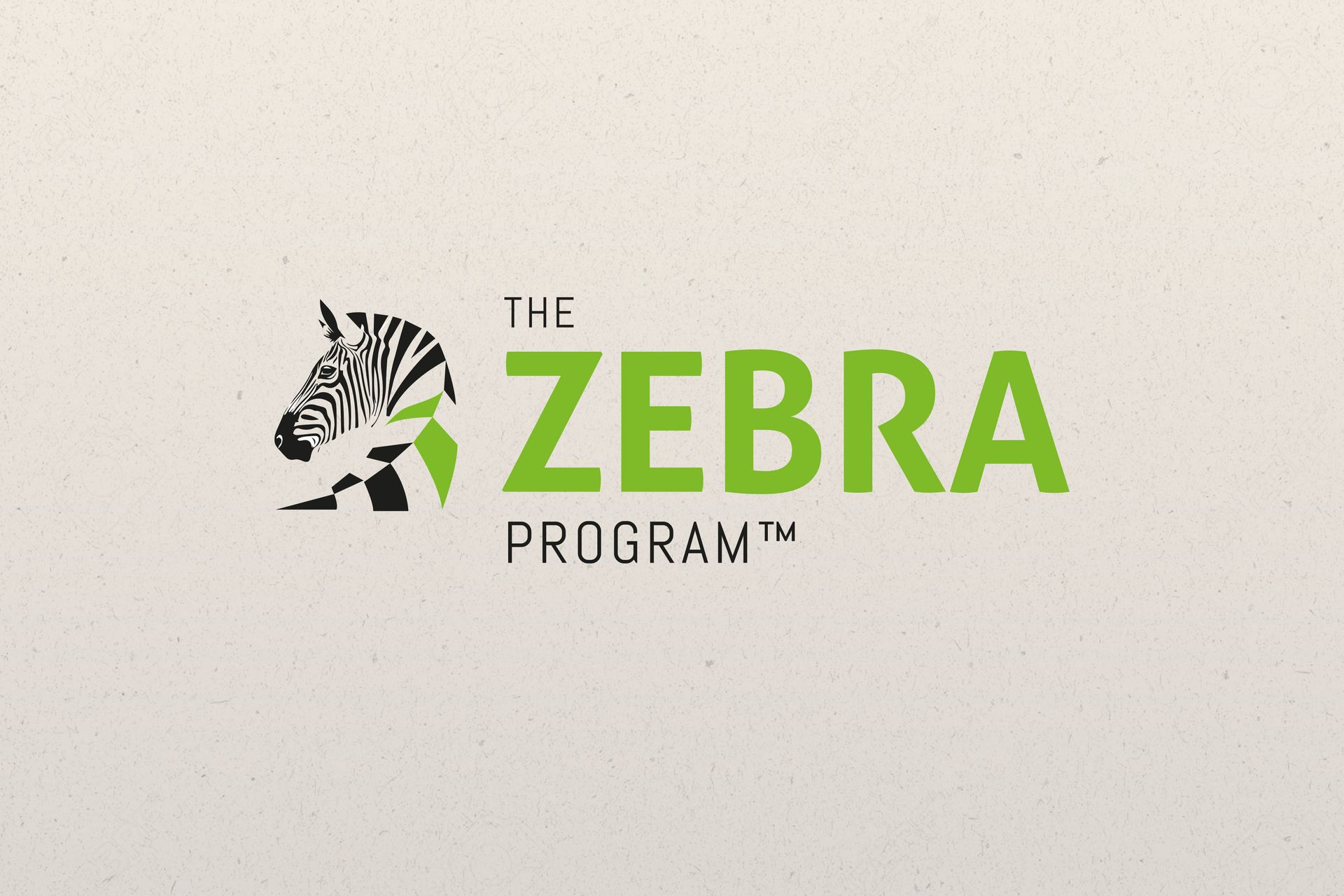 Logo and branding design for financial advisor business.