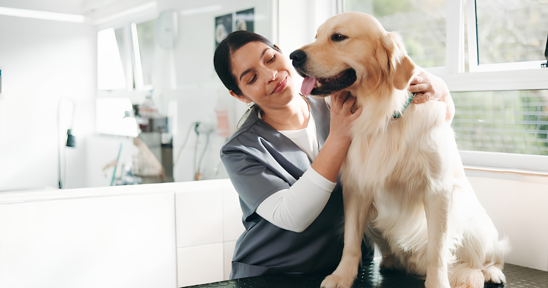 Person smiling and petting a golden retriever in a bright white room