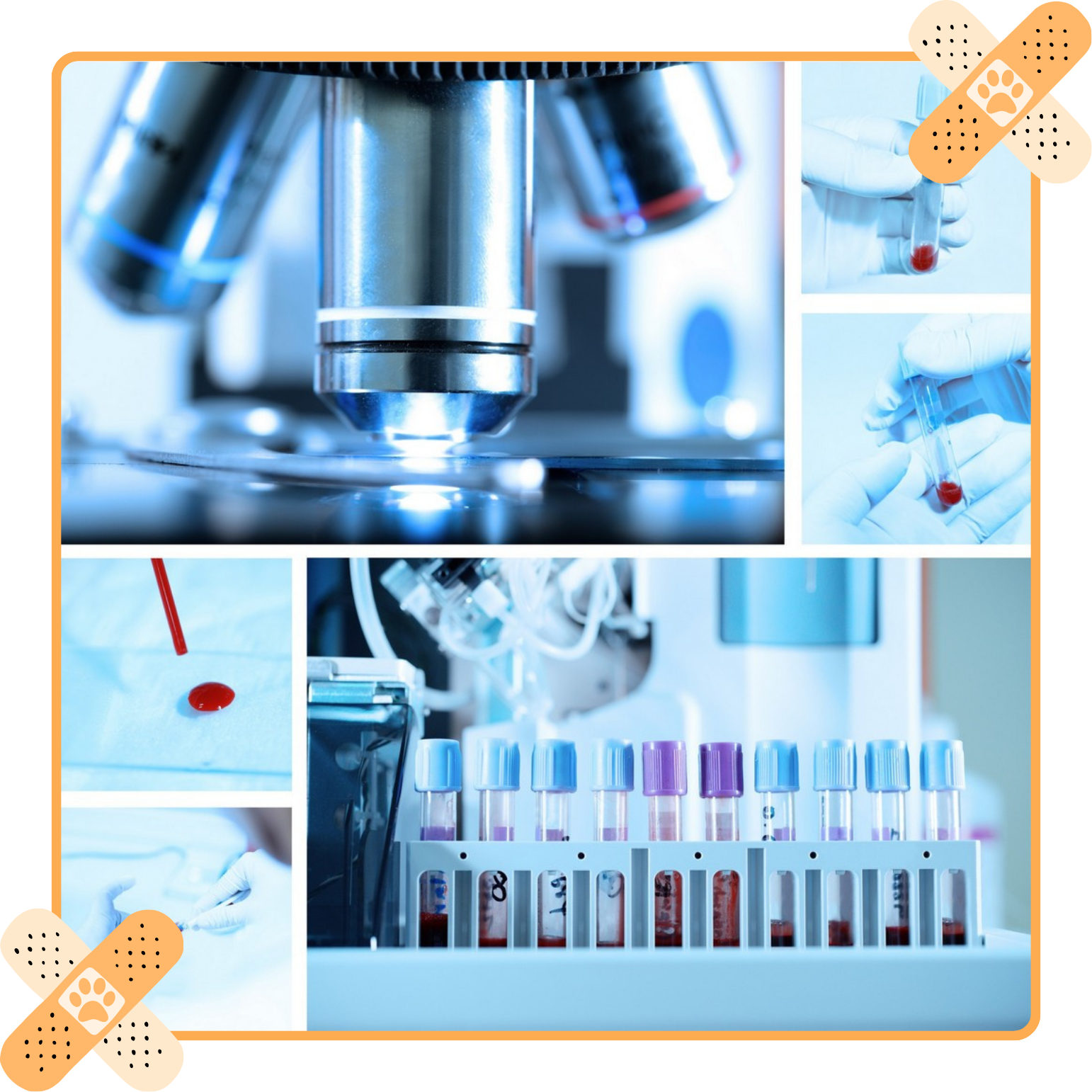 Microscope and lab test tubes in a blue-white medical research collage
