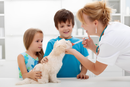 Veterinarian examining a small white puppy with two children in a bright clinic