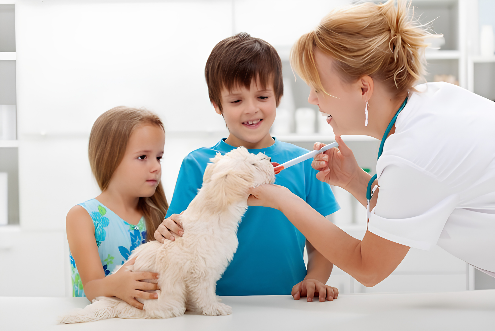 Veterinarian examining a small white puppy with two children in a bright clinic