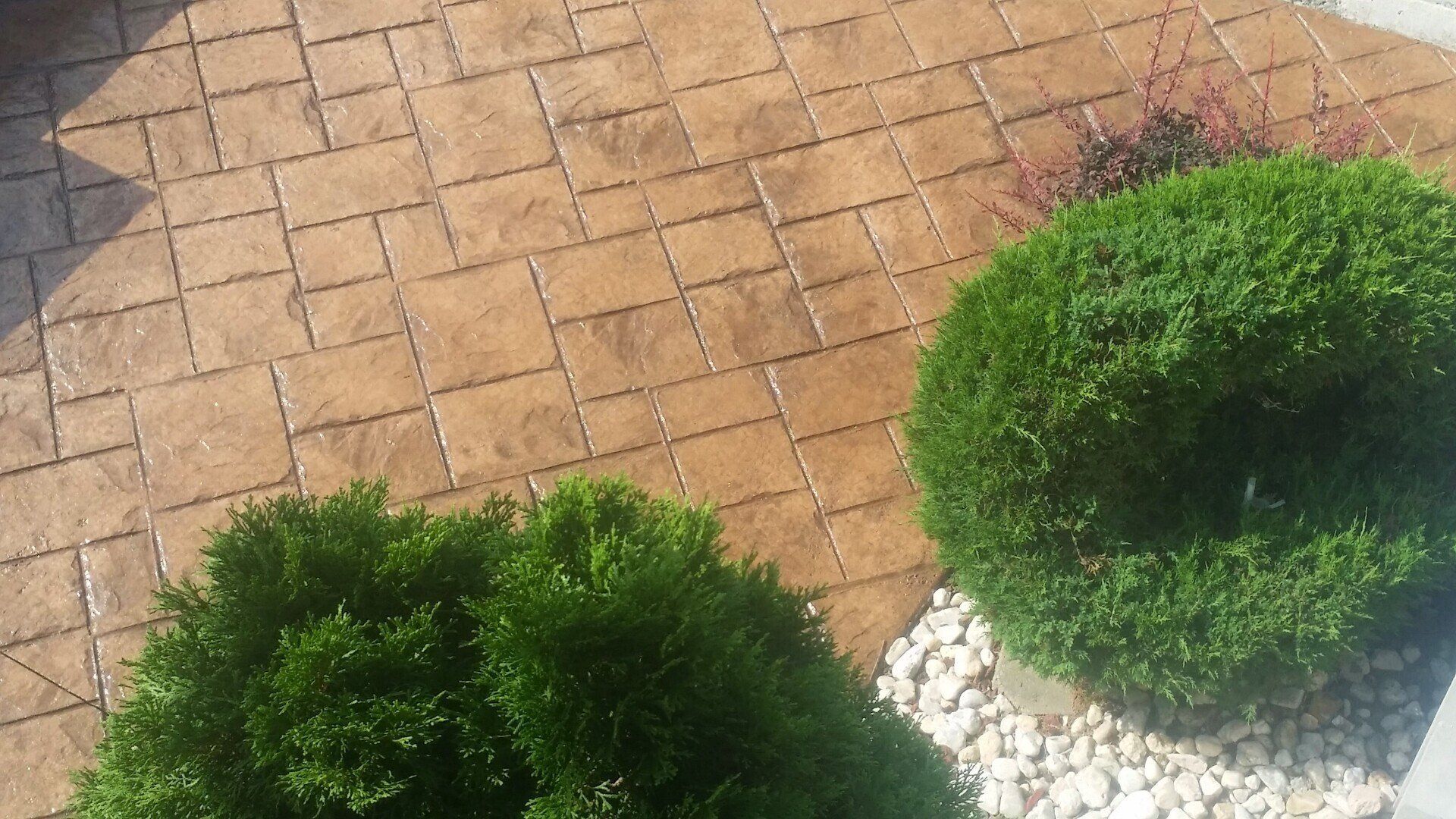 A brick walkway with trees and rocks on it