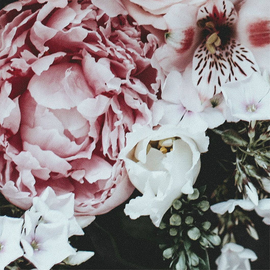 Photo of beautiful flowers used in a magazine cover design for 2062 magazine designed in Sydney 