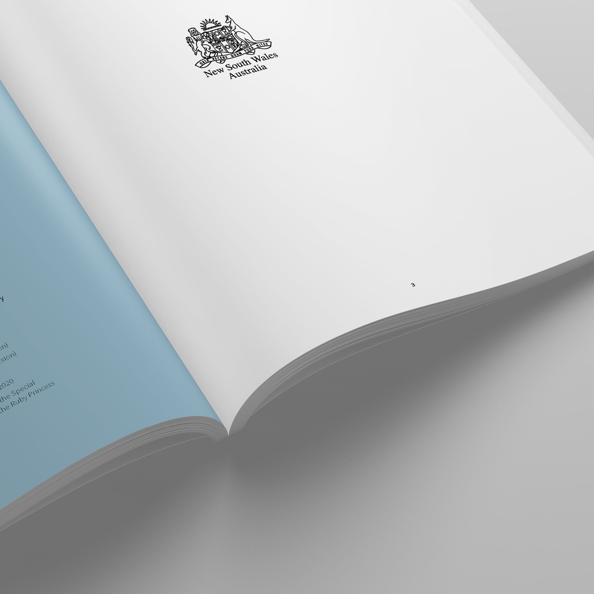 A close-up of the NSW Government coat of arms and clean page layout for the Special Commission of Inquiry into the Ruby Princess report, designed by the designers at The End Creative Agency.