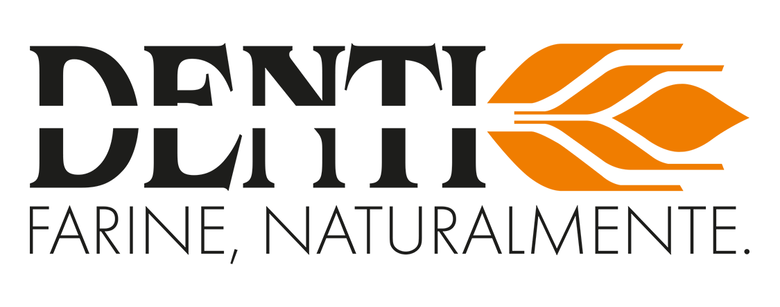 logo 13