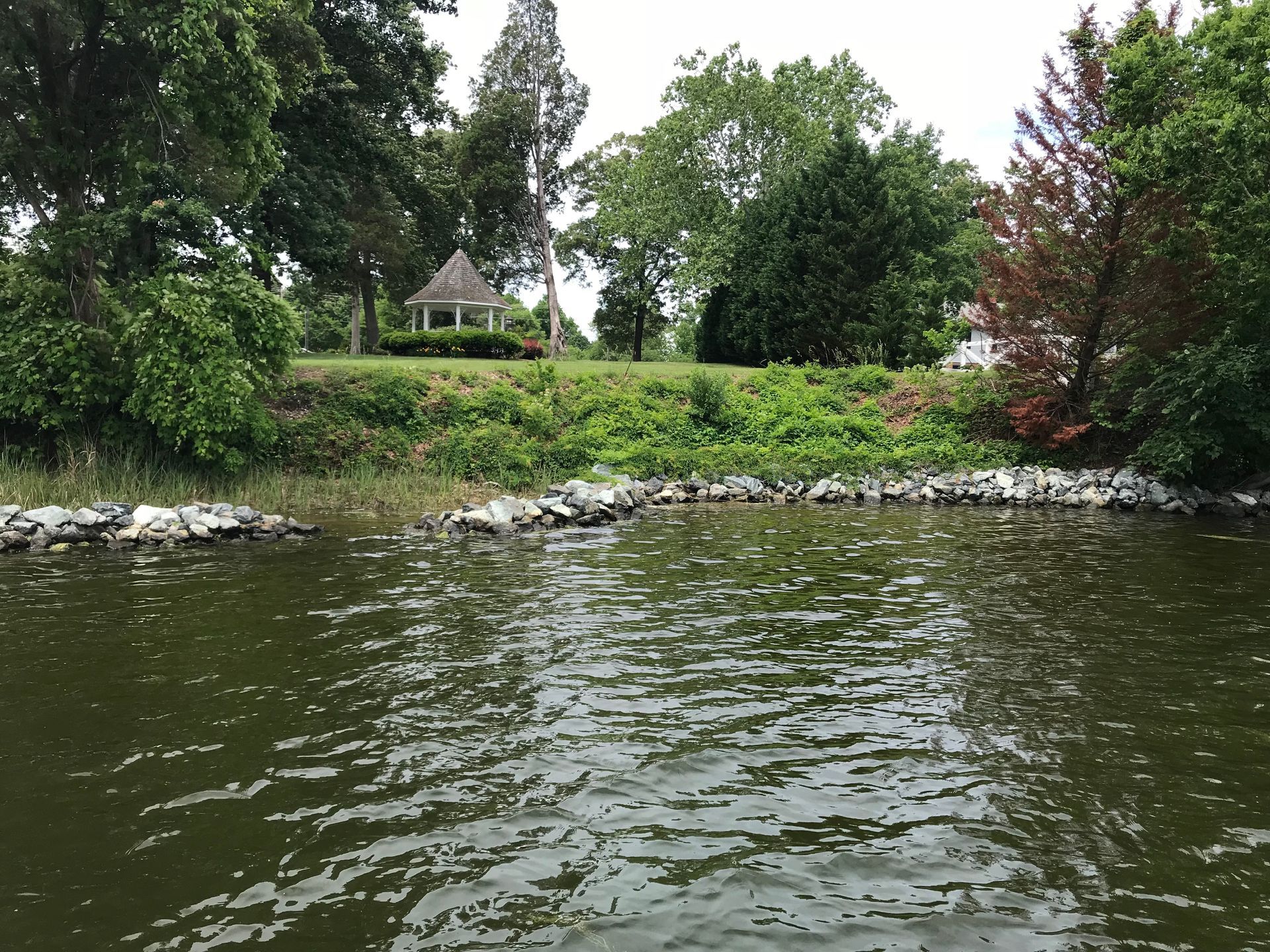 LIVING SHORELINE