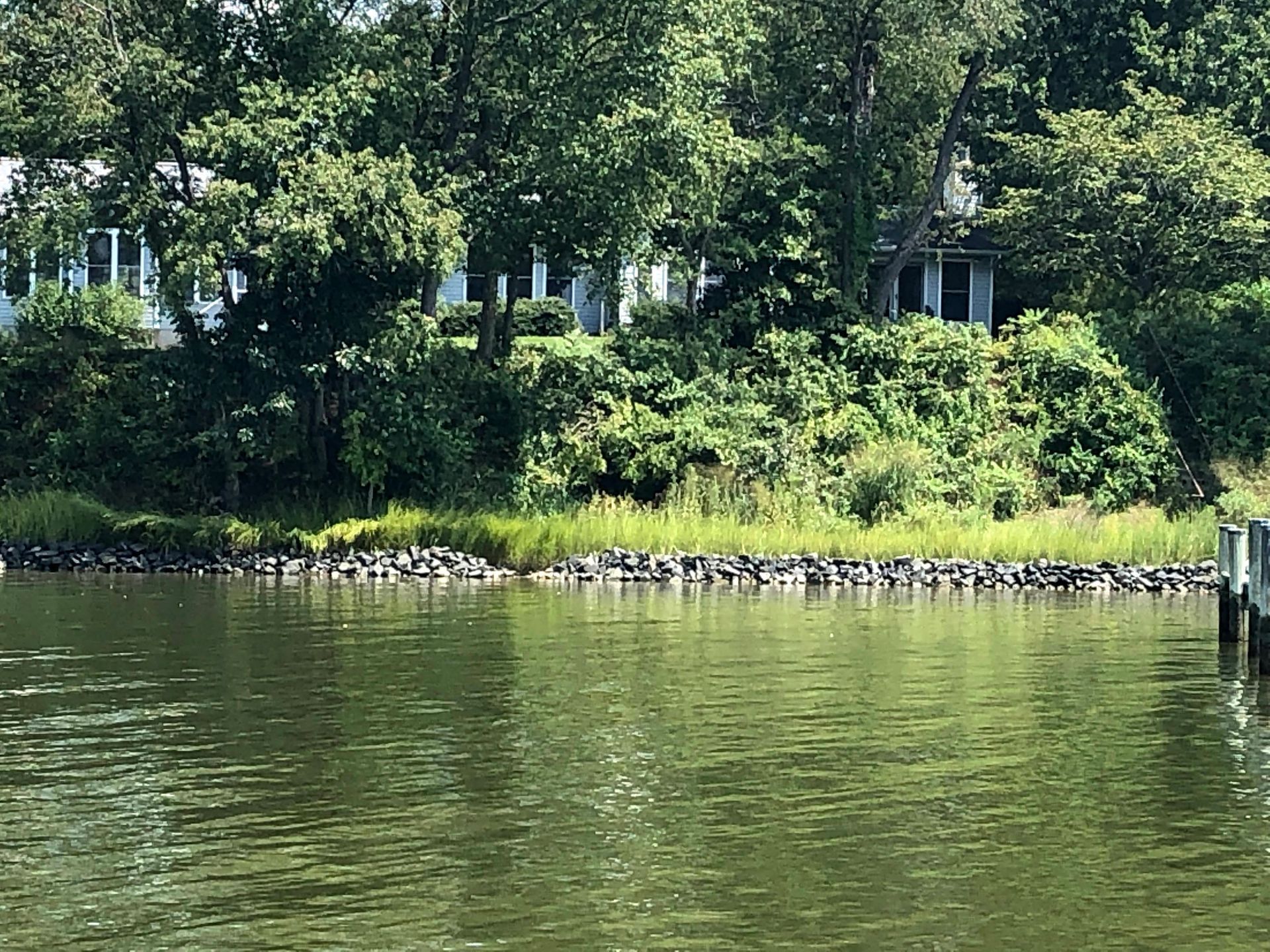 Living Shoreline Services in Southern MD