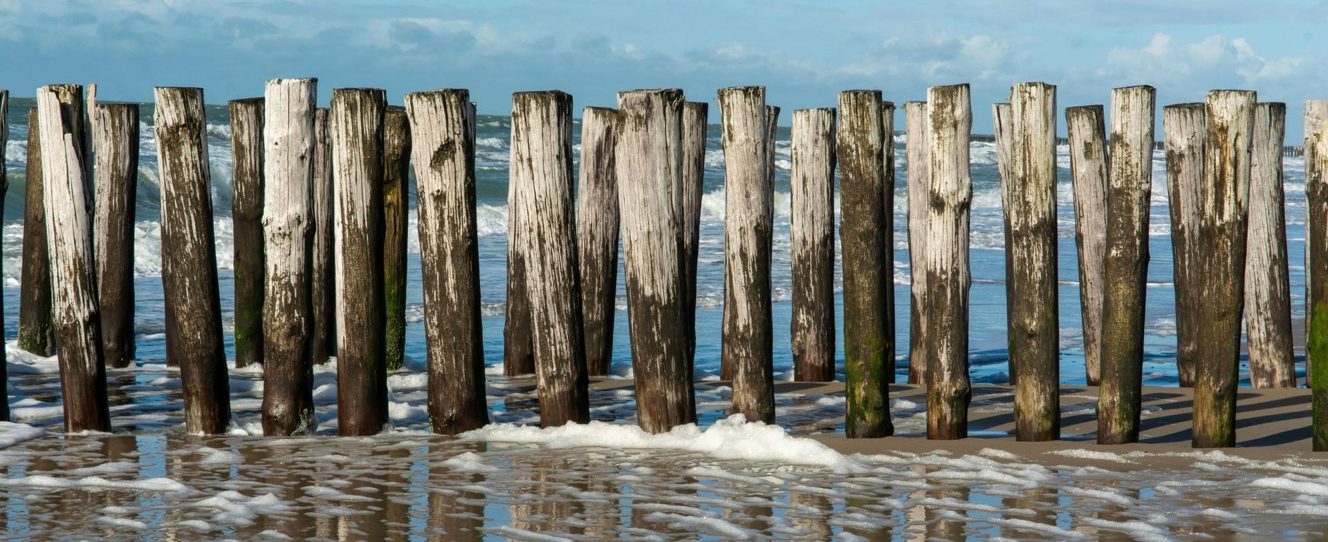 A row of wooden posts, known as pilings, in the water on a beach.