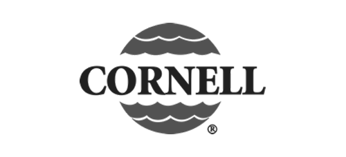 Cornell logo in black with stylized globe lines