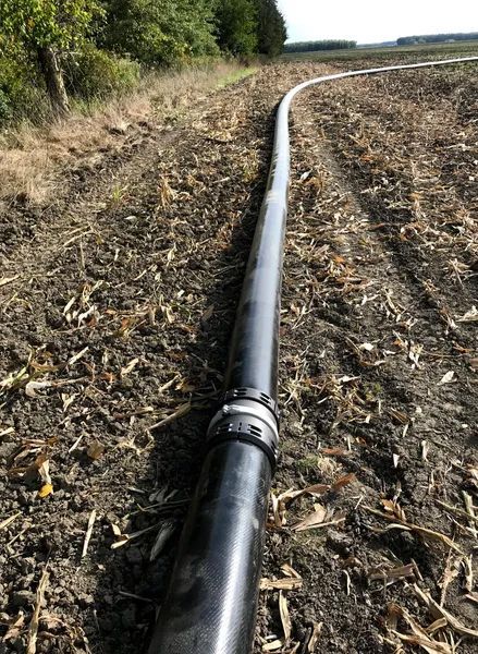 Black irrigation pipe runs along a harvested field beside a tree line under a clear sky.