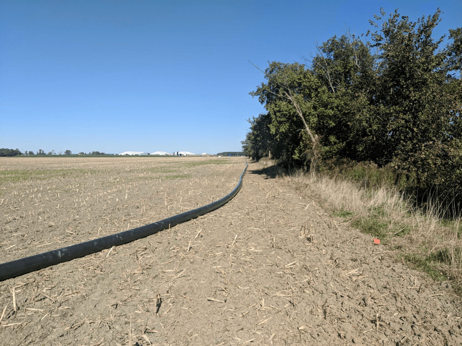 Dry dirt path beside a flooded field, with trees lining the right side under a clear blue sky