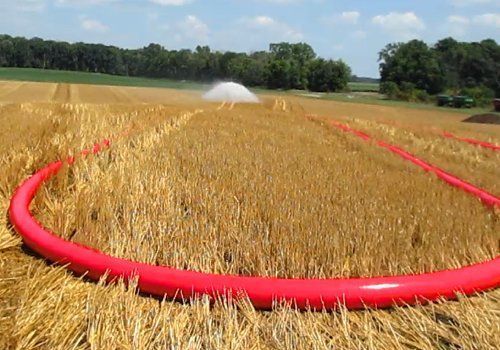 Red irrigation hose circles a dry wheat field with a sprinkler spraying in the distance.