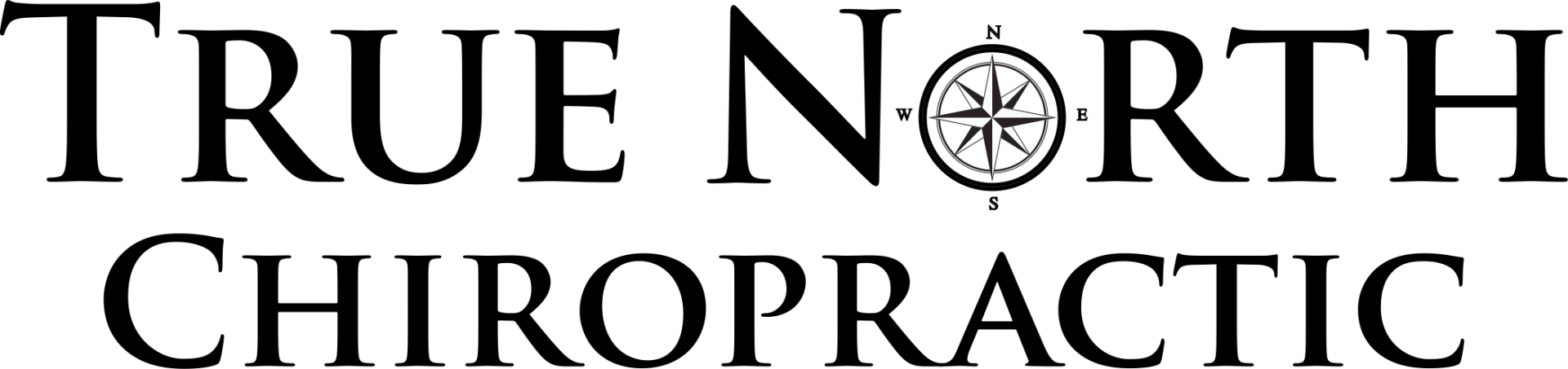 The logo for true north chiropractic has a compass on it.