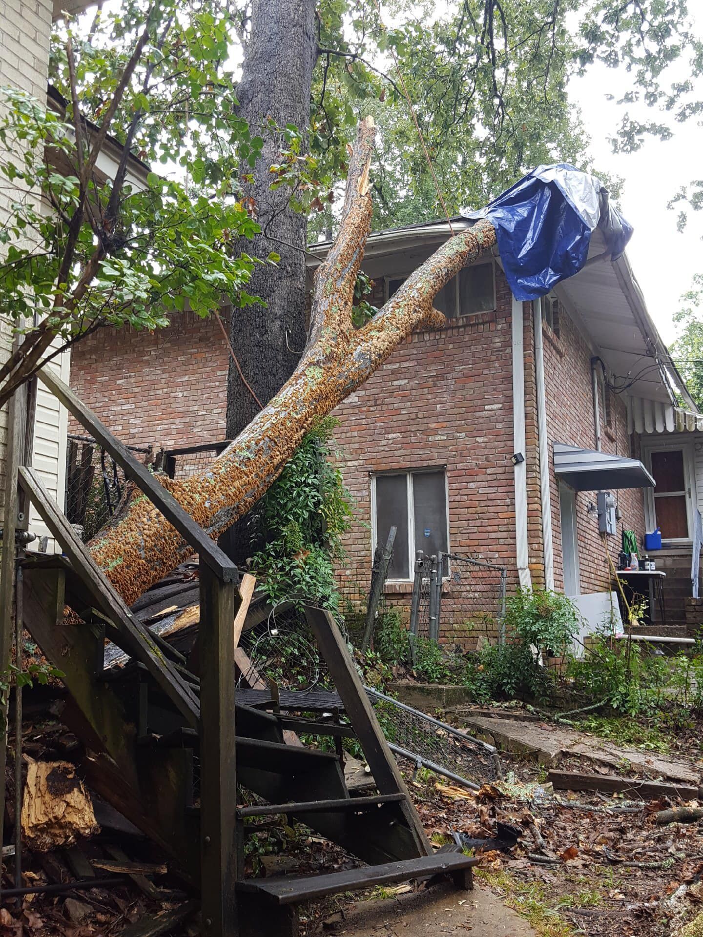 A fallen tree branch rests against the stairs and roof of a brick house, partially covered by a blue tarp.