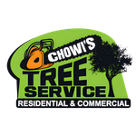 Logo for Chowi&rsquo;s Tree Service with an orange chainsaw, a black tree silhouette, and green background, on white background.