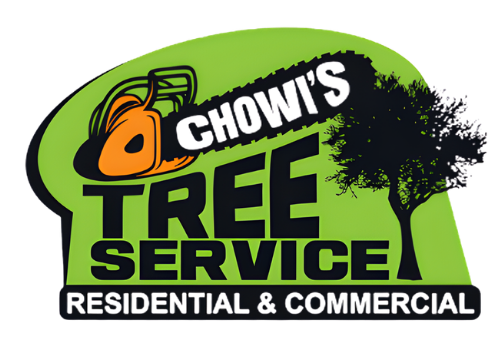 Logo for