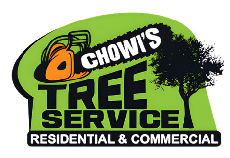Logo for