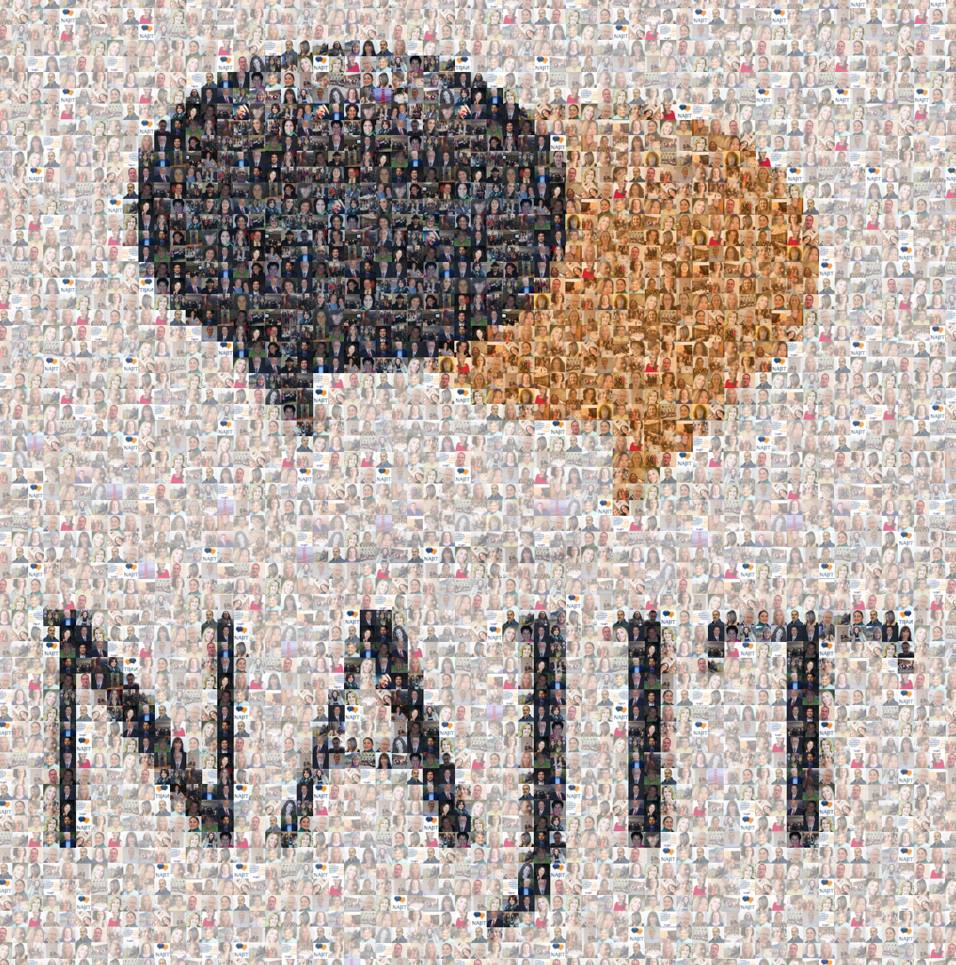 mosaic with NAJIT logo