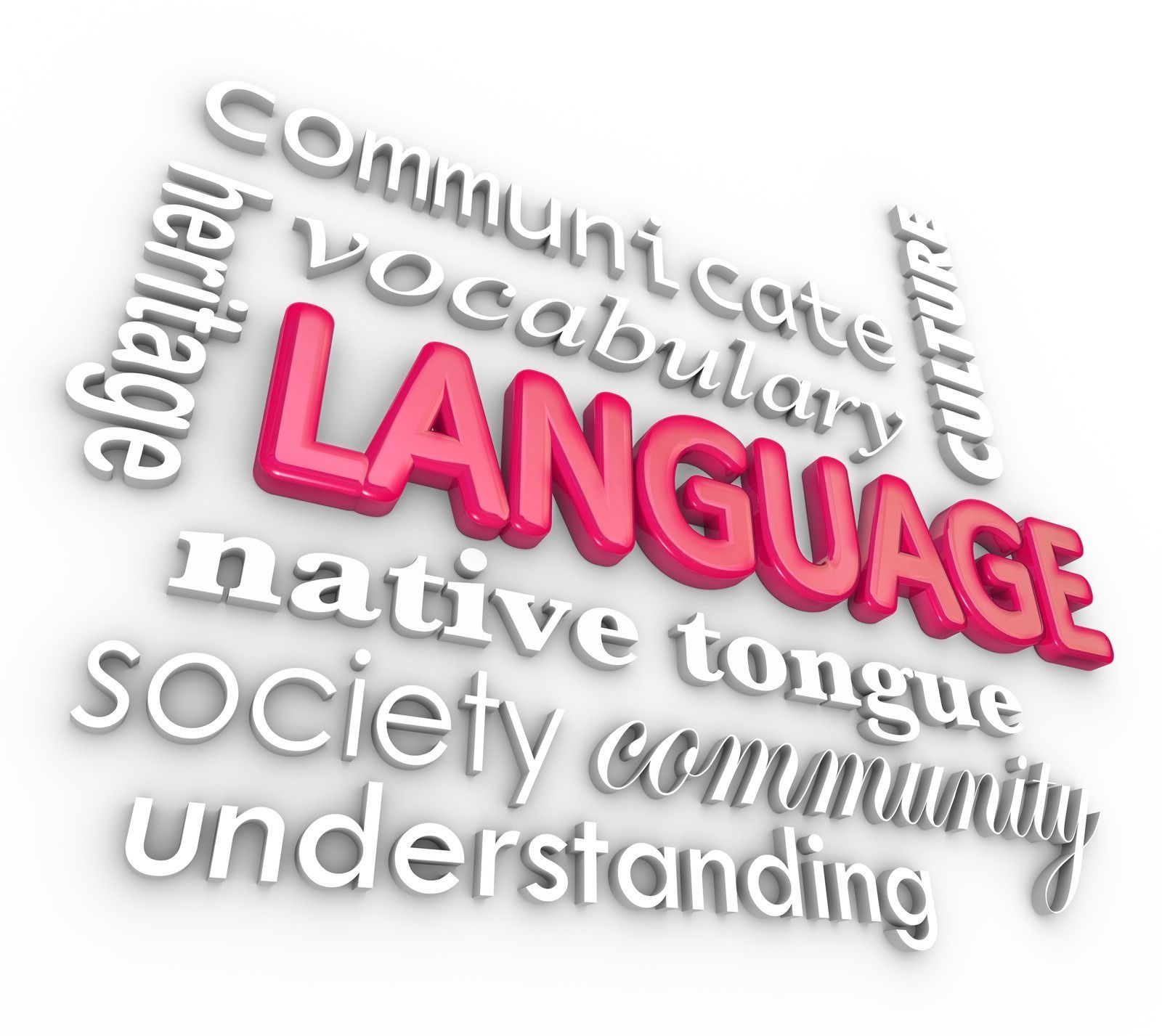 Pink “LANGUAGE” word cloud with related terms like communicate, vocabulary, heritage, and understanding