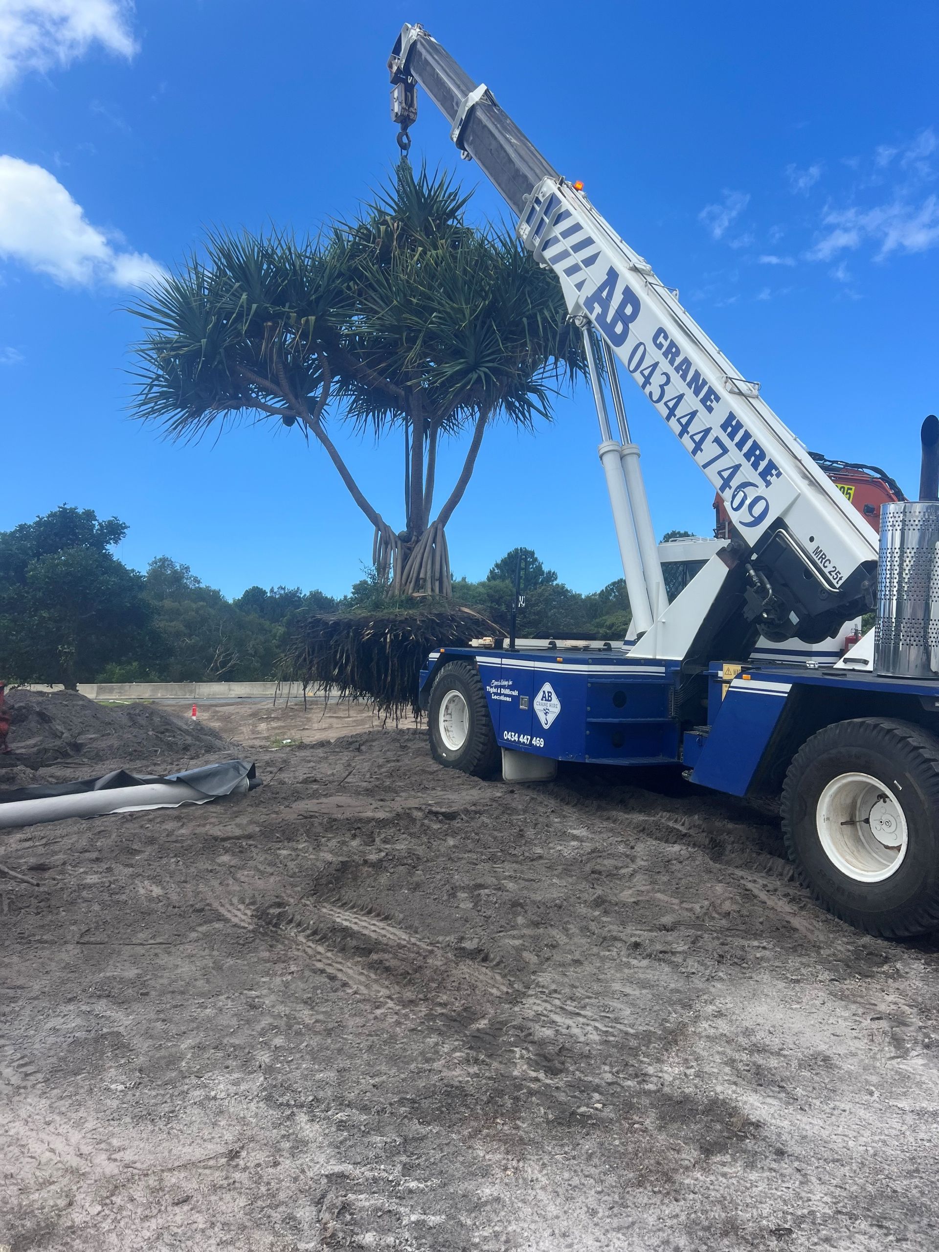 Crane truck lifting a tree on a dirt worksite under a blue sky