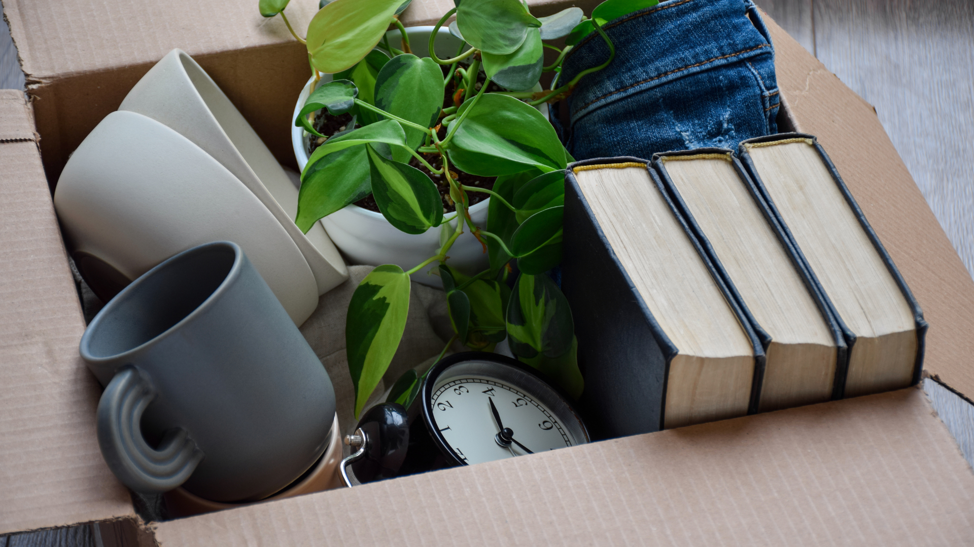 A cardboard box filled with books , cups , a clock , and a plant.