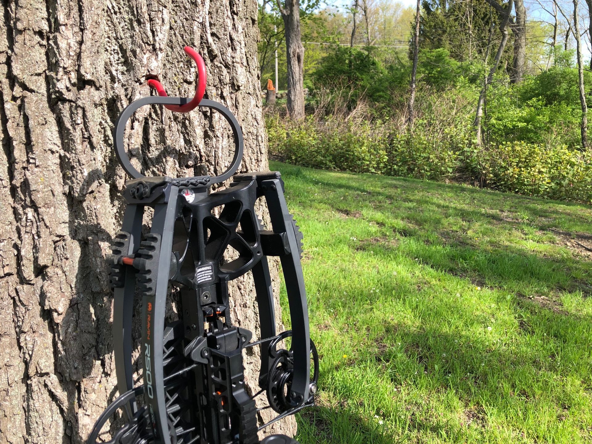 A slingshot is hanging from a tree in the woods.