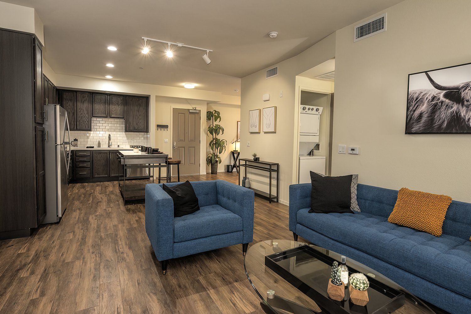 Studio Apartments In El Cerrito, CA - Metro 510 - Open Concept Living Room With High Ceilings, Hardwood Style Flooring, Washer And Dryer, And Access To Kitchen Area.