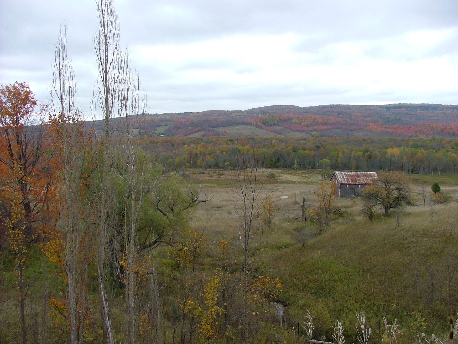Beaver Valley view.