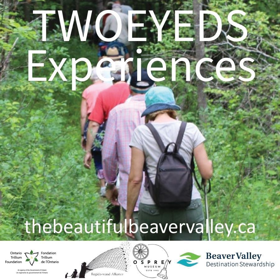 TWOEYEDS Experiences, Beaver valley, ad