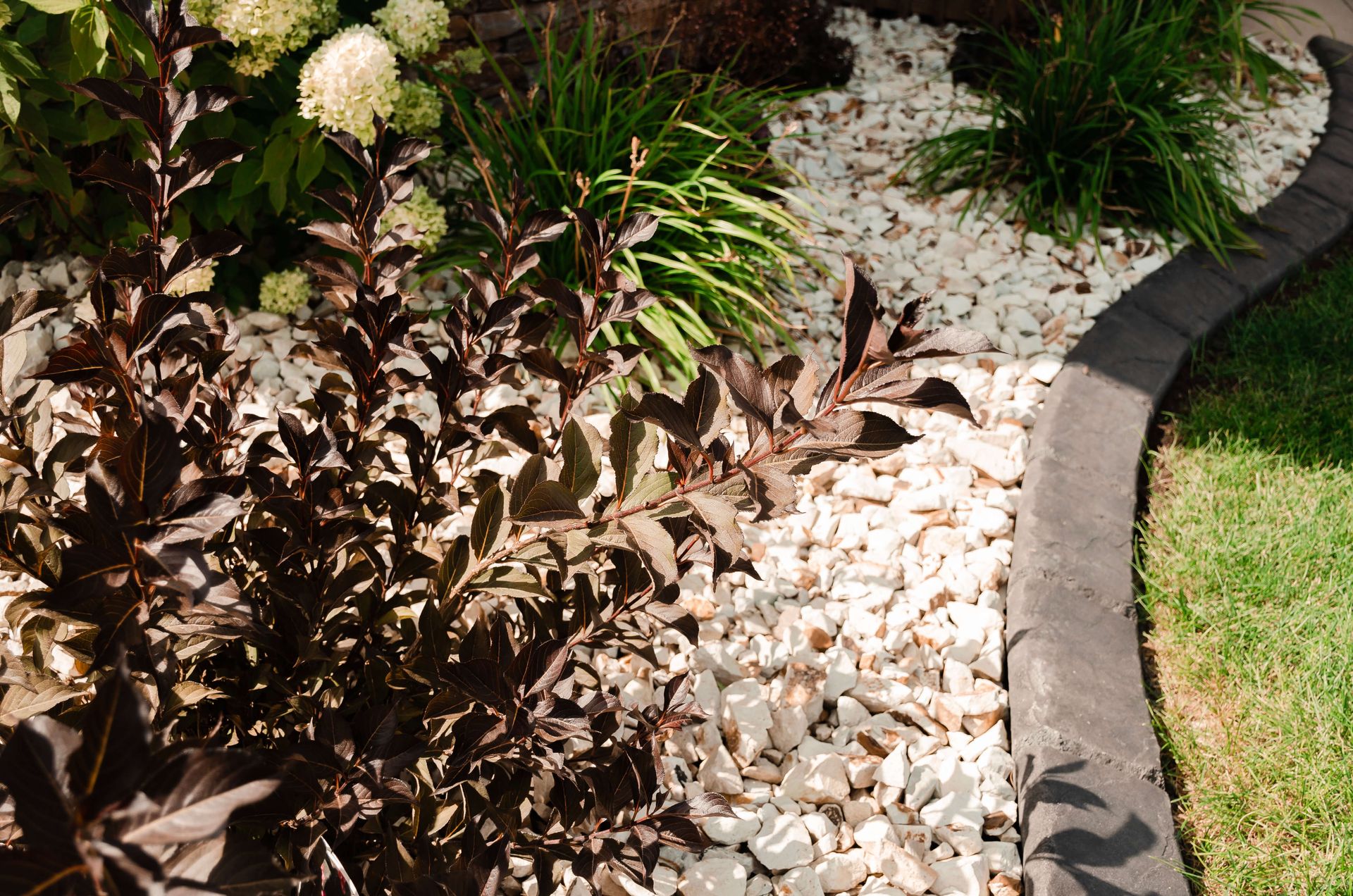 A garden filled with lots of plants and rocks