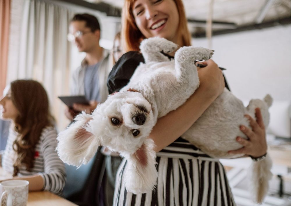 Smiling woman holds a small dog, highlighting a welcoming pet friendly home.