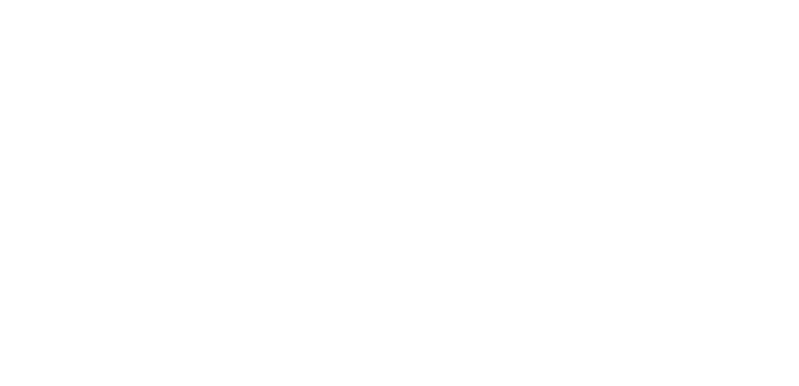 maxie logo