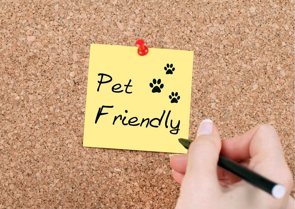 Sticky note reads pet friendly, emphasizing rentals that welcome cats and dogs.
