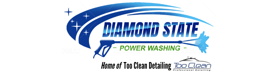 Diamond State Power Washing logo in blue and black with a car wash slogan and blue water splash graphic