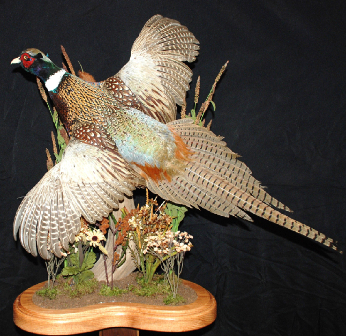 A stuffed pheasant is sitting on a wooden stand