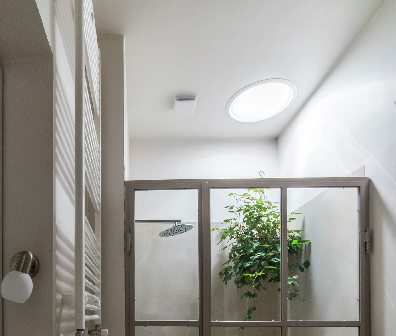 Bright bathroom with glass shower enclosure, skylight, and a potted plant on a shelf.