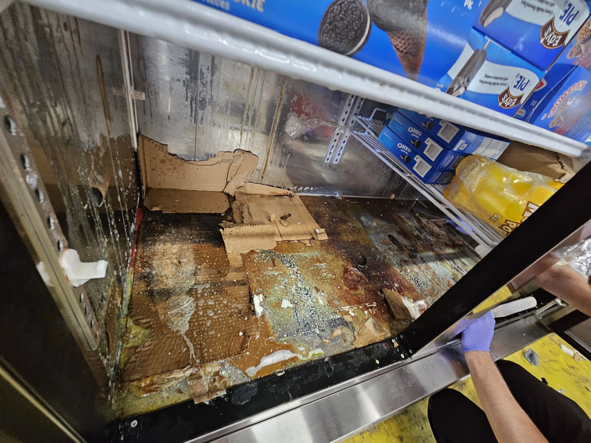 A person wearing blue gloves cleans a dirty, stained commercial refrigerator shelf containing cardboard and food boxes.