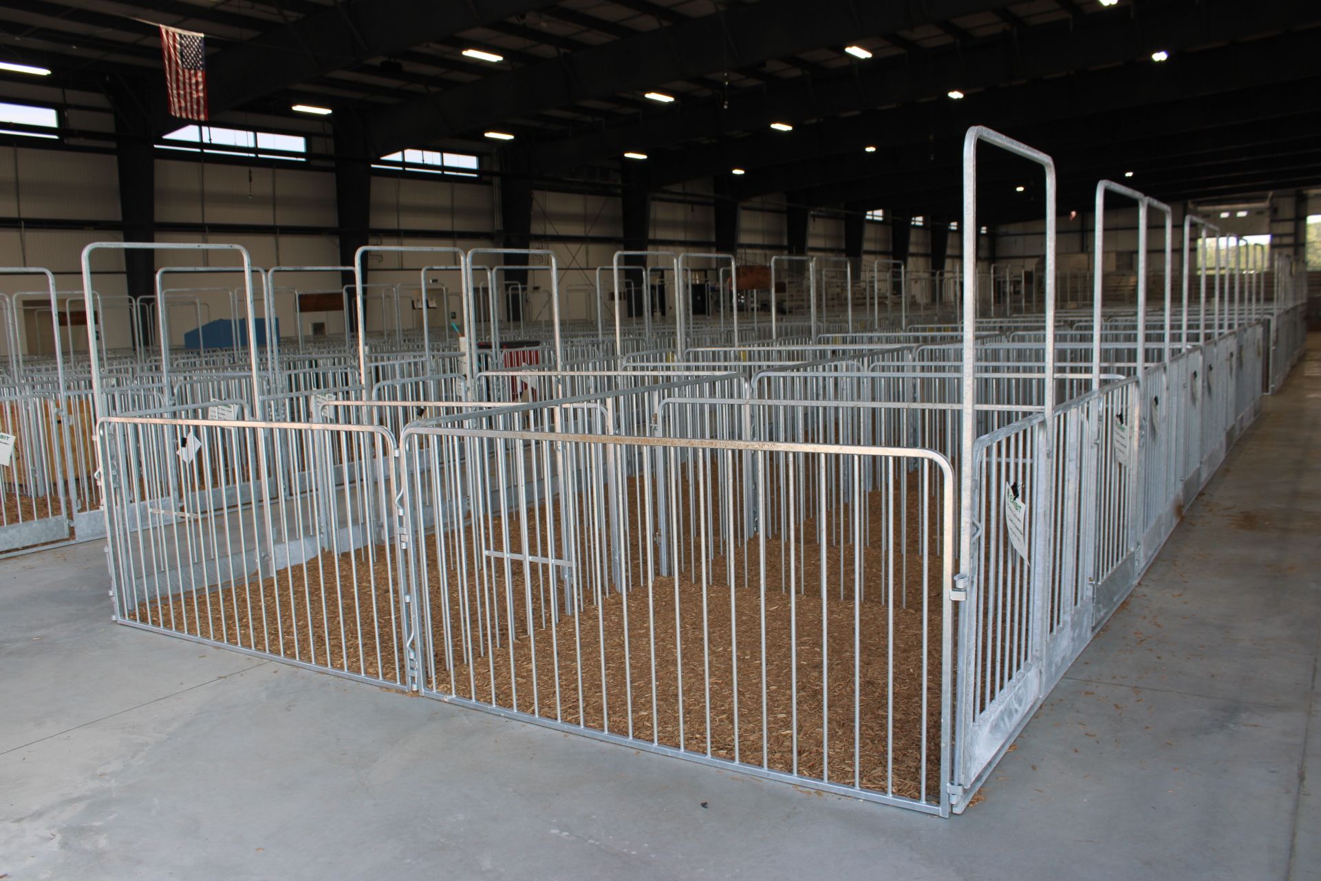 Indoor barn pen with white metal fencing and wood shavings on the floor